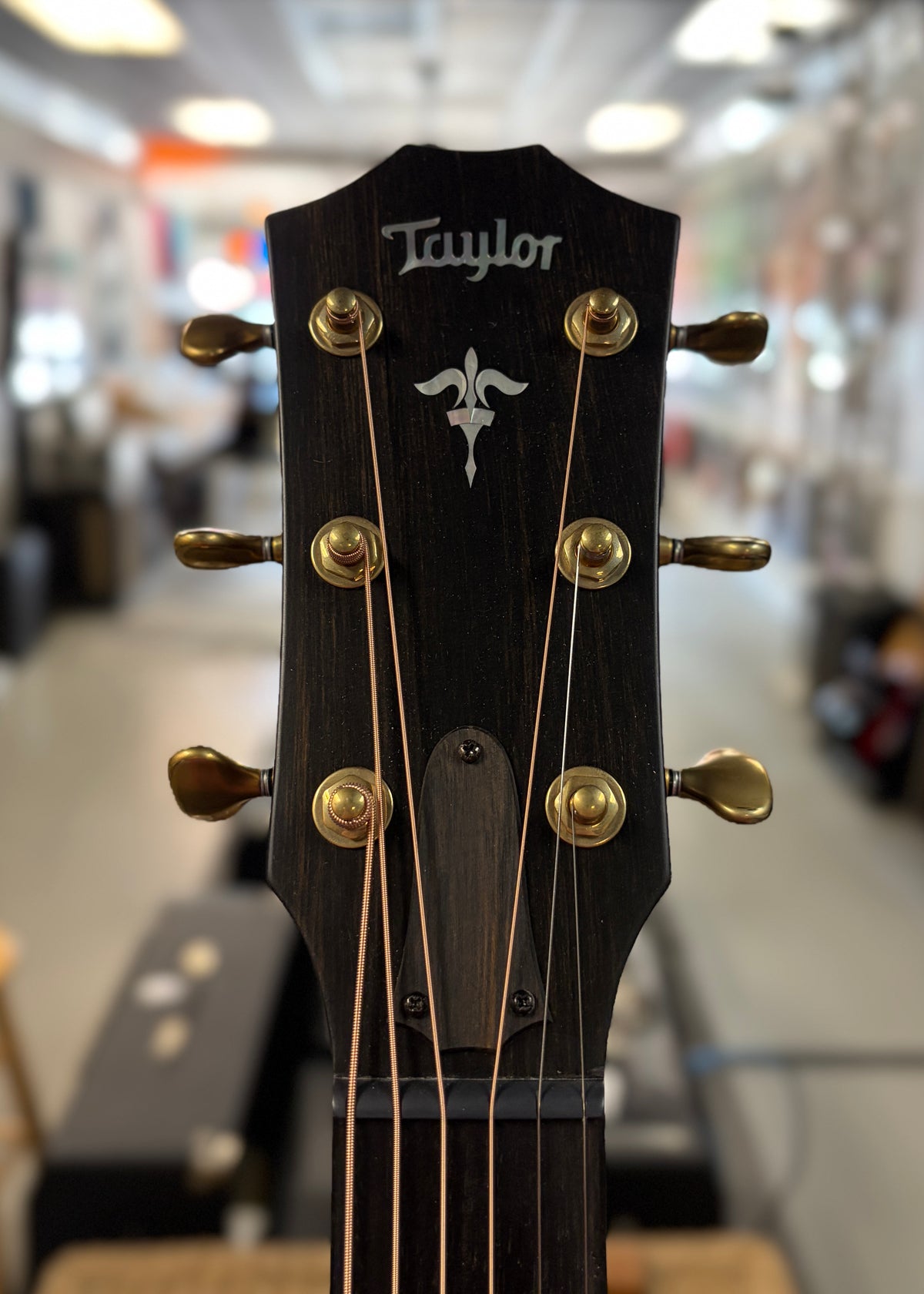 Taylor 614ce Builder’s Edition