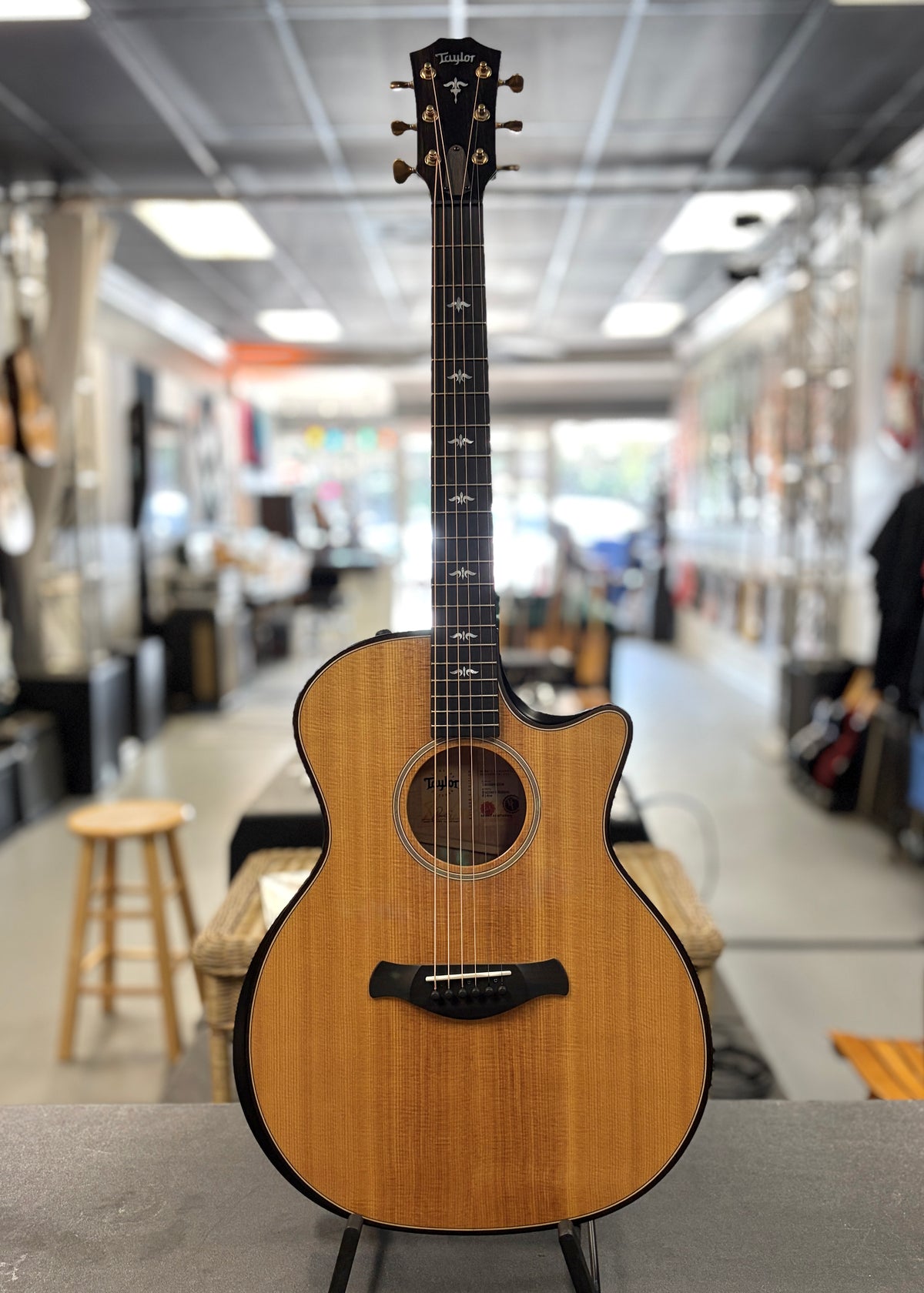 Taylor 614ce Builder’s Edition